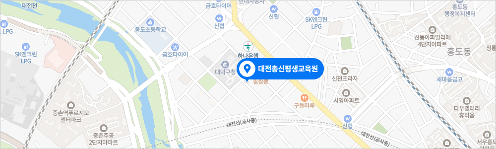 대전 지도