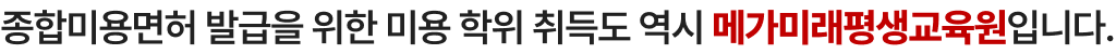 종합미용면허 발급을 위한 미용 학위 취득도 역시 메가미래평생교육원입니다.